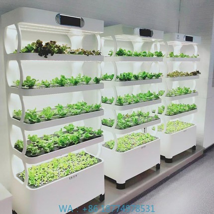 Sistema de cultivo automatizad - Home Automation Systems Diy avaliação e preço